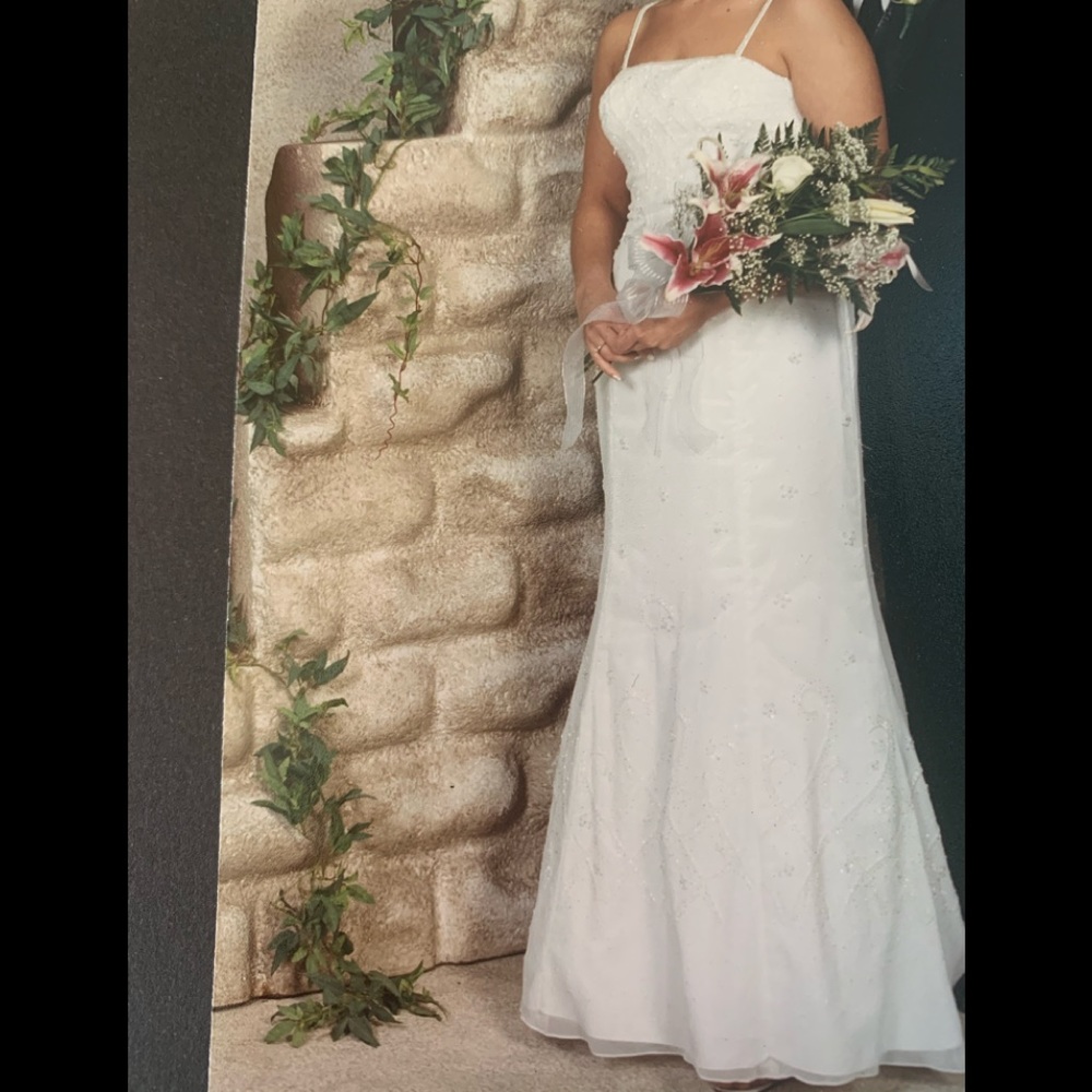 Tiffany Designs Formal Dress - prom or wedding - Picture 10 of 10
